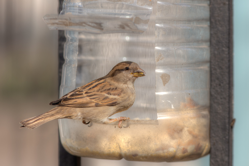 Unlock Savings on Bulky Waste Removal with These Proven Strategies